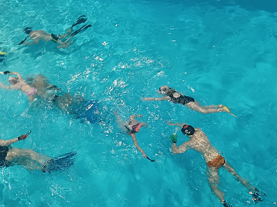 Hokej pod wodą Walenie Siemianowice Śląskie Trening IV 2022